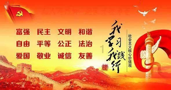 救援呆萌的猫